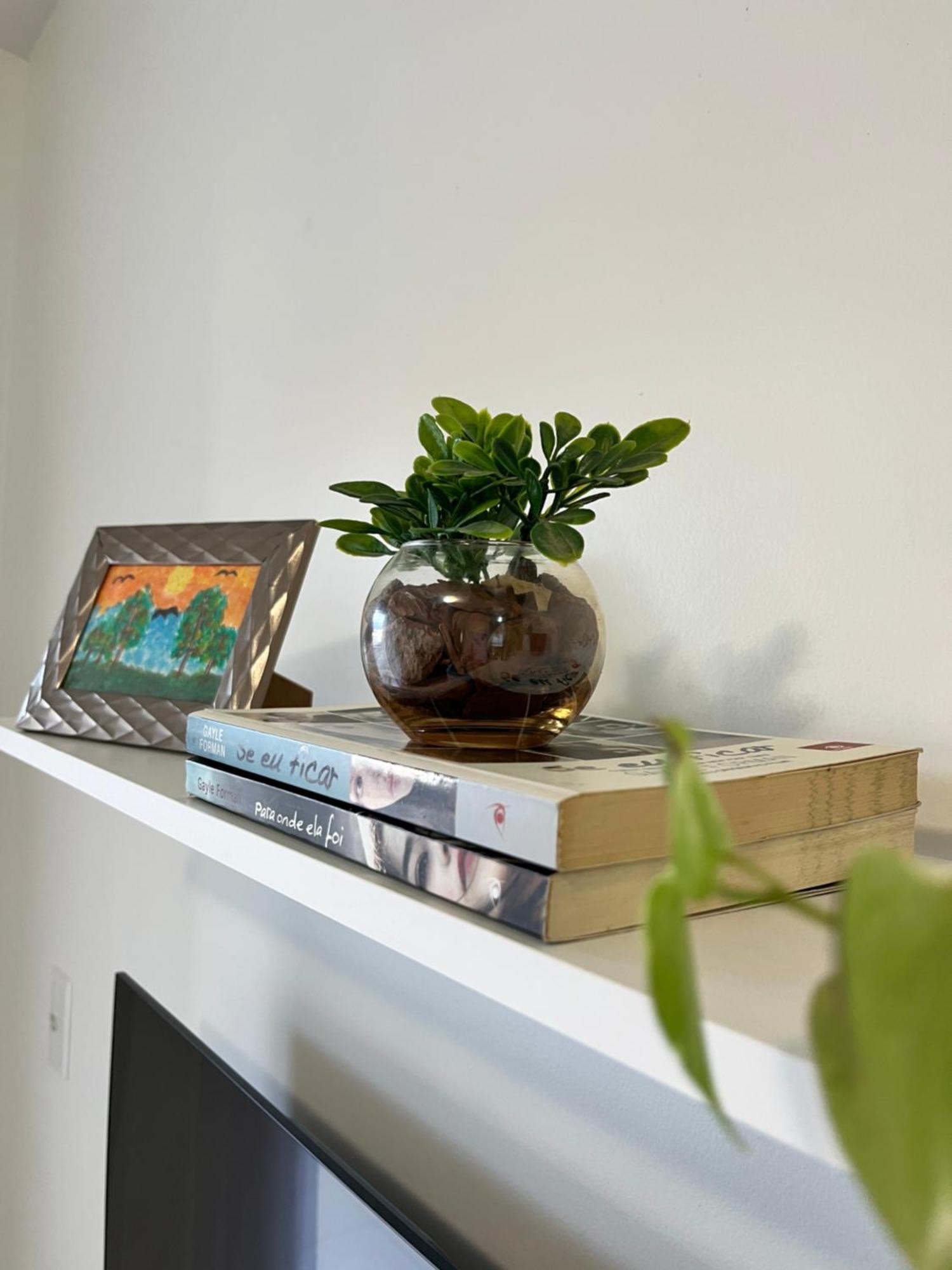 Ape Aconchego Apartment Brusque Luaran gambar